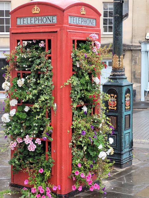 A classic British red telephone booth transformed into a floral display, filled with an abundance of blooming geraniums, petunias, and lobelias in shades of pink, purple, white, and magenta. The vibra
